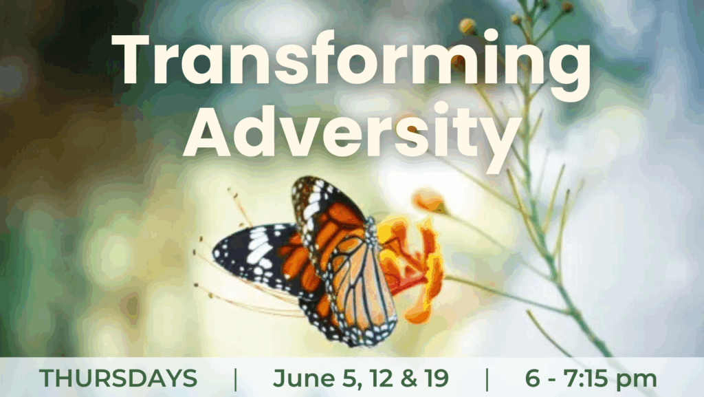 Transforming Adversity, Solve Problems, Using Buddha's Advice to Calm Our Mind, Talk, Meditation, Buddhism, Inner Peace, Happiness, Wisdom, Self-help, self-improvement, Downtown Olympia Washington, Everyone welcome, Thursdays in June, Tushita Kadampa, Mahayana path