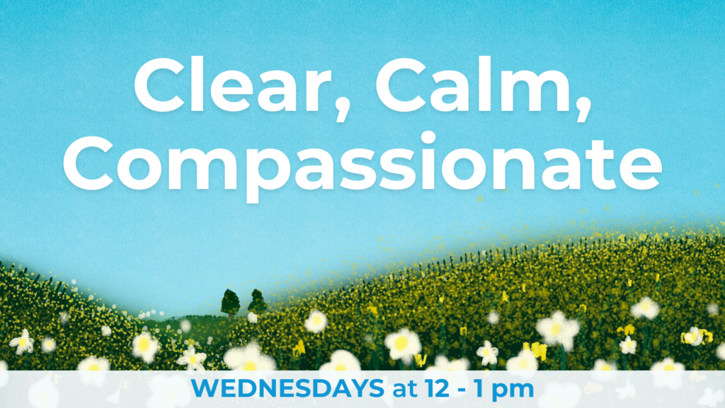 World Peace, Meditations, Buddhism, Buddhist, Inner Peace, Happiness, Harmony, calm, love, compassion, patience, wisdom, Dharma, Buddha, Sangha, Dhamma, Kadampa Tradition, calm, Olympia Washington, Noon classes, Everyone welcome, Wednesdays, clear, clarity meditations, beginner meditate,