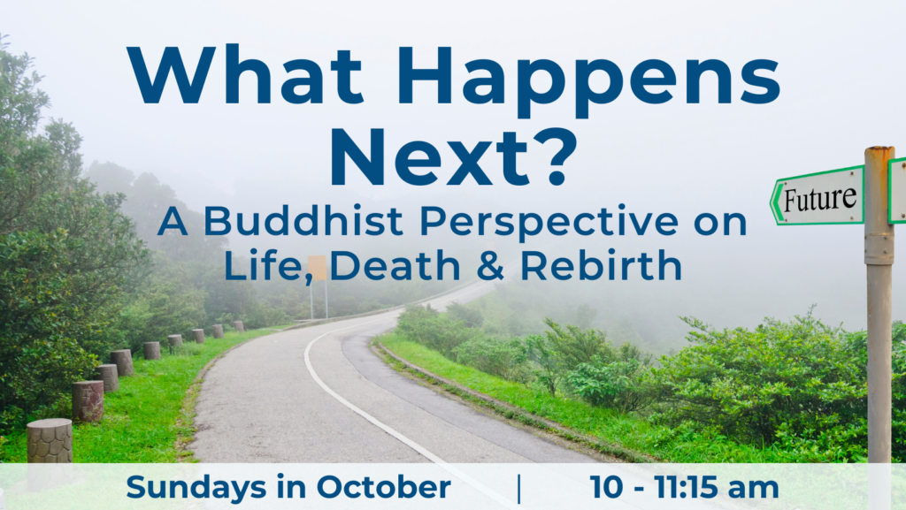 What Happens Next? Buddhist perspective on life, death and rebirth, reincarnation, October, happiness, dying, meditation, Buddha, Dharma, Sangha